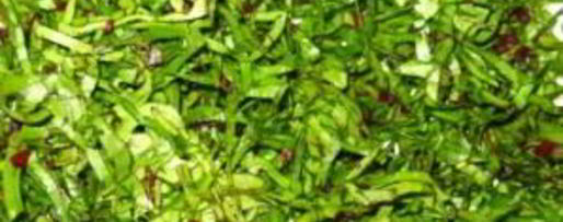 Шаг 2: свекольника с ботвой