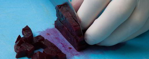 Шаг 8: свекольника с соленым огурцом