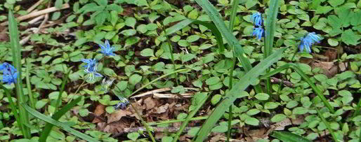 Шаг 10: овощного сырного супа