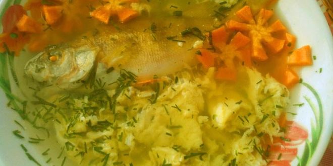 Рецепт рыбного супа уха из окуня