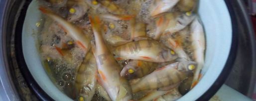 Шаг 2: рыбного супа уха из окуня