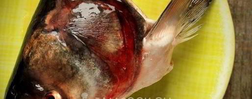 Шаг 4: ухи из головы толстолобика