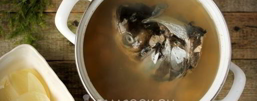 Шаг 6: ухи из головы толстолобика