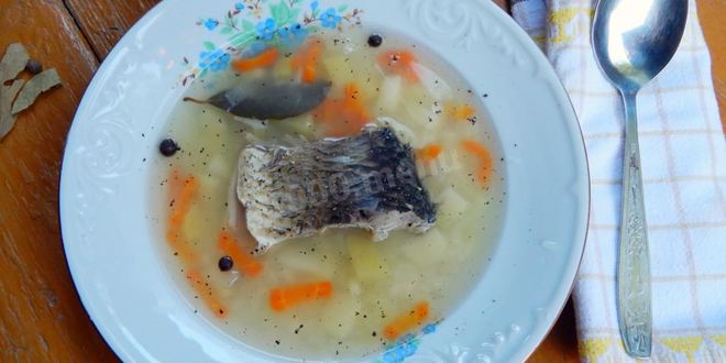 Рецепт ухи из карпа