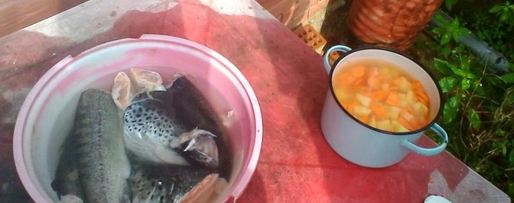 Шаг 1: ухи из лосося и форели