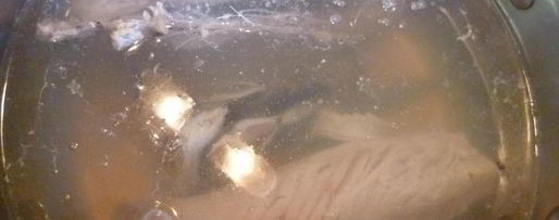 Шаг 3: ухи из скумбрии