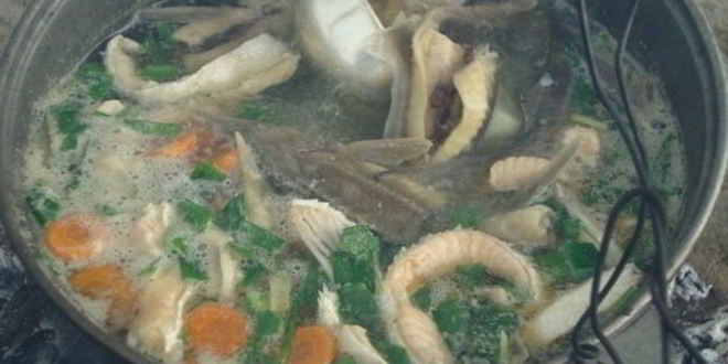 Рецепт ухи из стерляди и семги