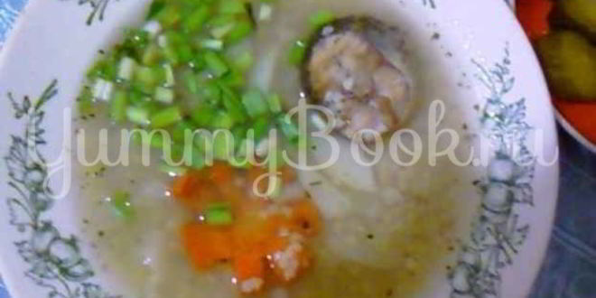 Рецепт ухи из судака