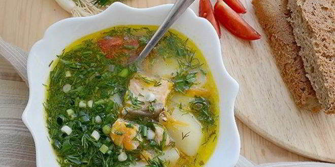 Рецепт ухи из угря