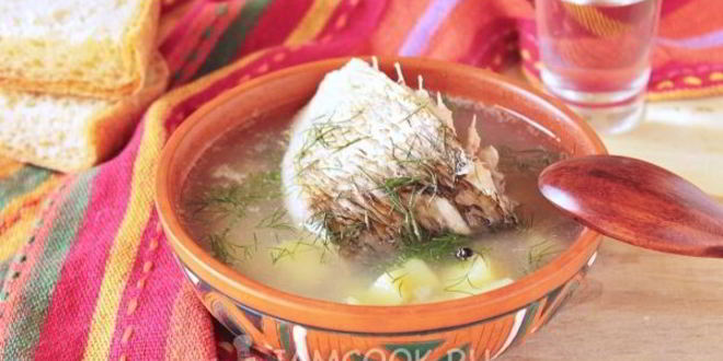 Рецепт ухи из язя