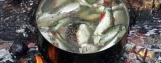 Шаг 1: ухи на костре