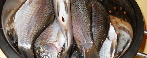 Шаг 2: ухи по-домашнему