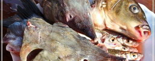 Шаг 17: ухи по-царски из петуха