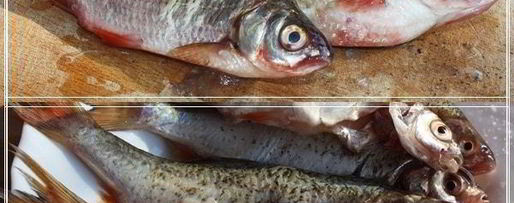 Шаг 7: ухи по-царски из петуха