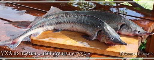 Шаг 9: ухи по-царски из петуха