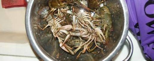 Шаг 11: ухи с раками и икрой