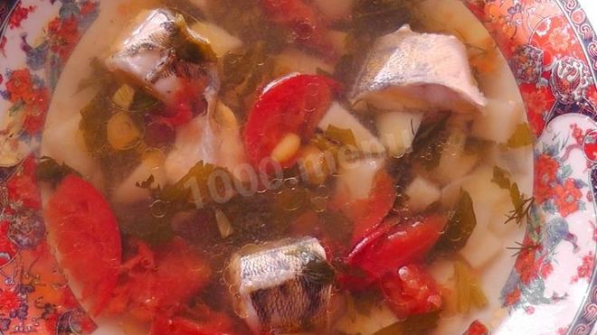 Рецепт Ухи судачья по-ростовски