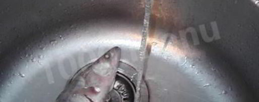 Шаг 1: ухи судачья по-ростовски