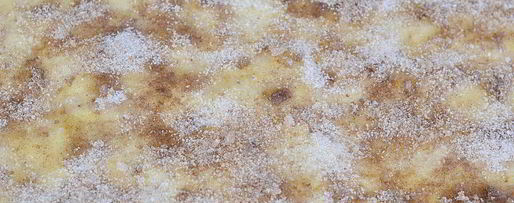 Шаг 5: булочек с яблоками