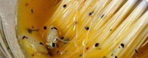 Шаг 12: чесночных булочек