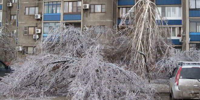 Рецепт сырных круассанов