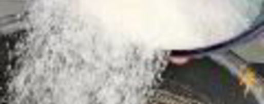 Шаг 3: апельсинового чизкейка с кумкватами