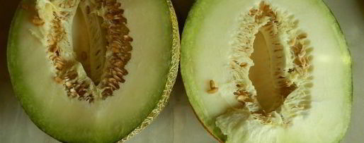 Шаг 12: имбирного чизкейка с дыней