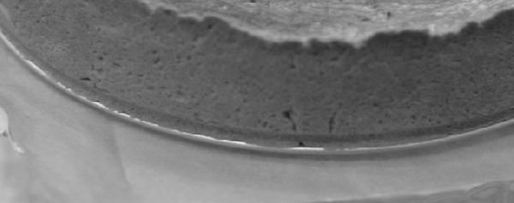 Шаг 8: творожного чизкейка с абрикосами