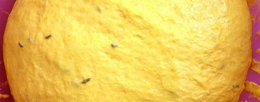 Шаг 2: домашнего хлеба с куркумой и тмином