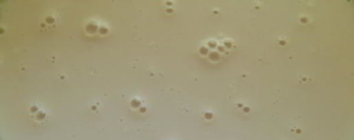 Шаг 1: греческого пасхального хлеба с анисом