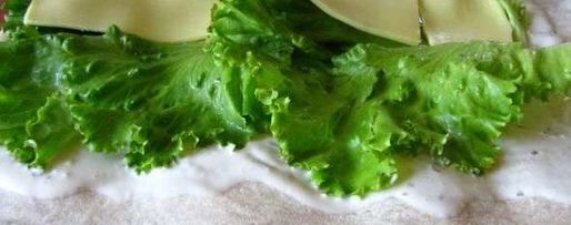 Шаг 43: куриной грудки в лаваше