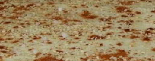 Шаг 3: лаваша-крекера