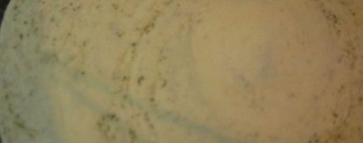 Шаг 4: хлеба-лепешки с ореховой травой