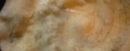 Шаг 5: хлеба-лепешки с ореховой травой