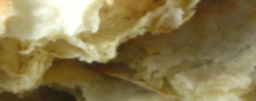 Шаг 7: хлеба-лепешки с ореховой травой