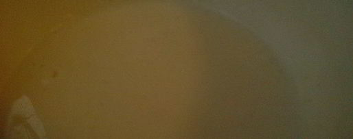 Шаг 1: мясных лепешек с брынзой в чесночной панировке