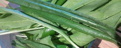 Шаг 4: слоеных лепешек на топленом масле с сезонной зеленью