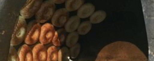 Шаг 2: тандырных лепешек