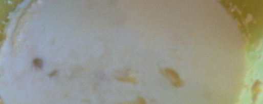 Шаг 2: маффинов с рисовой мукой и лимоном