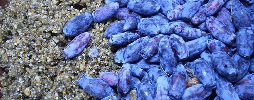 Шаг 1: ореховых маффинов с ягодами