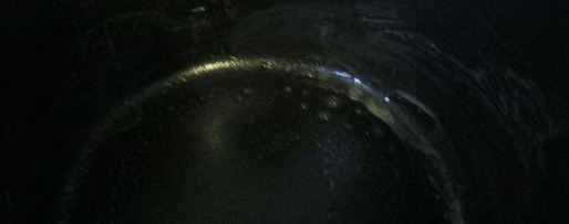 Шаг 3: манника с изюмом в мультиварке