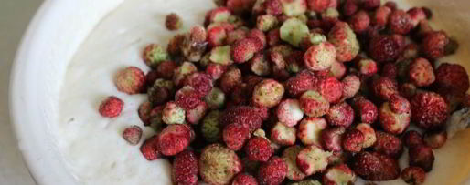 Шаг 4: манника с лесной клубникой