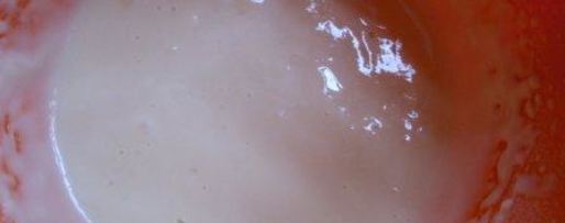 Шаг 1: яблочных оладий с корицей