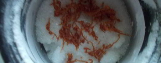 Шаг 2: песочного печенья с сухофруктами