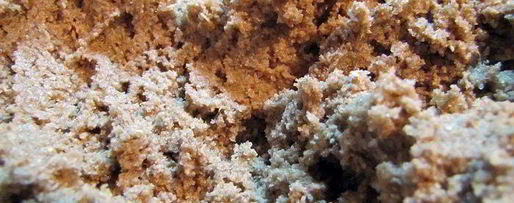 Шаг 2: ржаного печенья