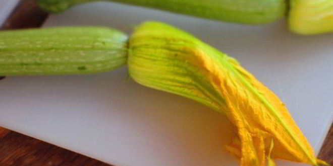 Рецепт овощного киша с сыром и цветками цукини