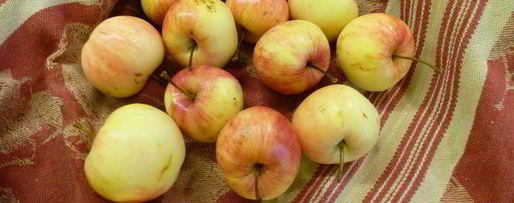 Шаг 7: пирога из дачных яблочек