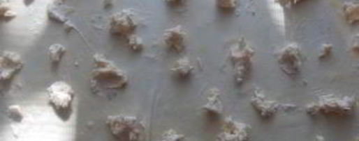 Шаг 4: сырного пирога с фетой и тыквой