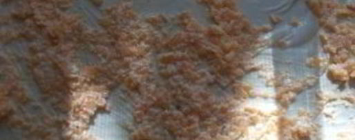 Шаг 7: сырного пирога с фетой и тыквой