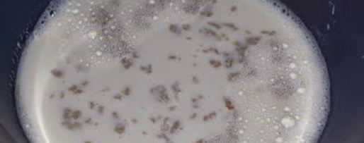 Шаг 9: пирожков с квашеной капустой и белыми грибами